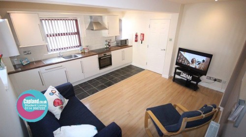 Interior at 33 Bower Road Sheffield